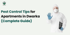 Pest Control Tips for Apartments in Dwarka (Complete Guide)